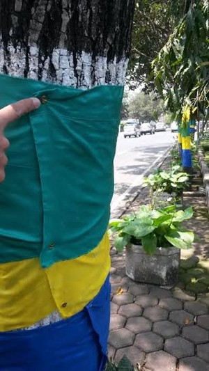 Pohon yang Dipasang Bendera Bandung Pakai Paku Harus Segera Diganti