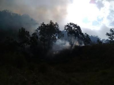 Padang Savana di Gunung Bromo Terbakar
