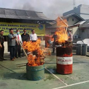 Polres Jakpus Musnahkan Ganja 76 Kg Senilai Rp 228 Juta