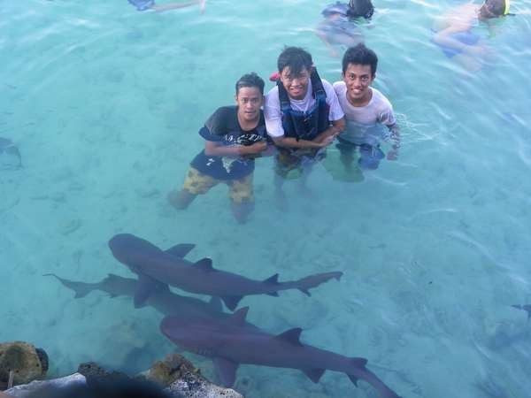 Paket Tur di Karimunjawa, Ada Apa Saja?