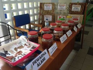 Wow! Tanaman Liar Bisa Jadi Pewarna Alami Pakaian