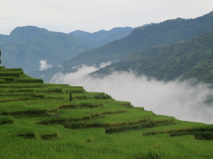 Pagi Magis di Desa Hao Thao, Vietnam