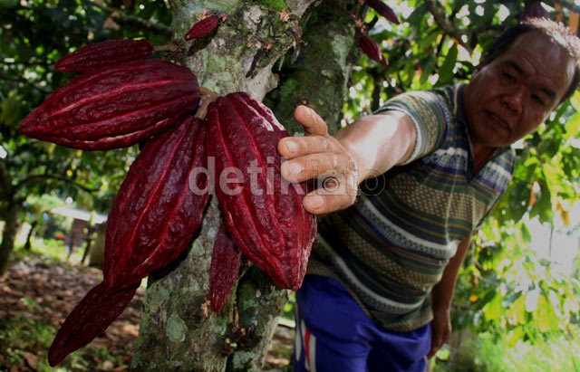 Petani Dengan Omzet di Atas Rp 400 Juta/Bulan Kena Pajak 10%