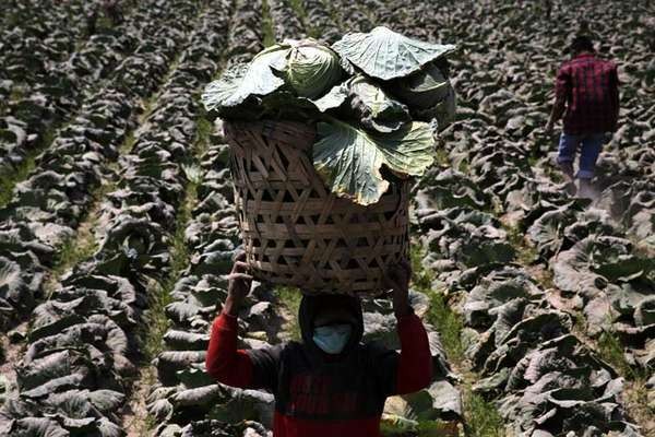 Anak Muda di AS Bertani Pakai iPad