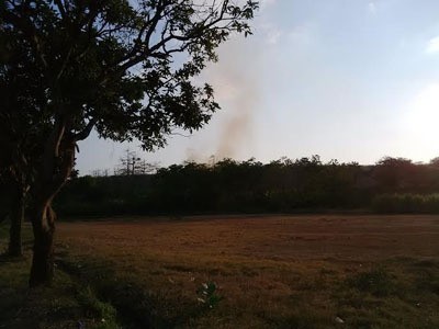 Hutan Gunung Bentar Terbakar, Hewan Liar Turun Gunung Hutan Gunung Bentar Terbakar, Hewan Liar Turun Gunung
