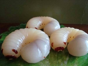 Nyam! Permen Persis Ulat Hidup Ini Kenyal-kenyal Manis!