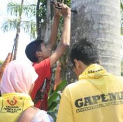 Pelajar di Malang Bersih-bersih Pohon dari Paku