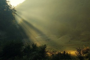 Hoia Baciu, Konon Hutan Paling Berhantu di Eropa