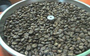 Di Dapoer Kopi Bisa Ngopi dan Beli Biji Kopi Spesialti Asal Toraja