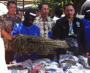 Tanam Ganja di Kaki Gunung Gede, Ajid Mengaku untuk Rokok Pribadi