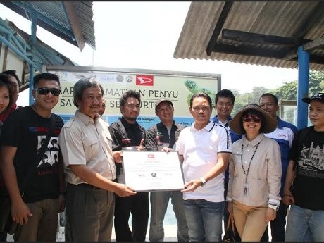Daihatsu Ajak Komunitas Mobil Lestarikan Penyu