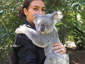 Aww, Koala Ini Tersenyum Saat Foto Bareng Kim Kardashian