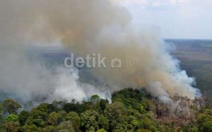 Aksi Pembakaran Hutan Kebanyakan Bermotif Ekonomi, Dilakukan Terorganisir