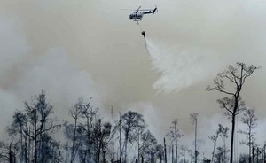 Langkah Pemerintah Atasi Kebakaran Hutan, dari Pencegahan Sampai Hukuman Berat