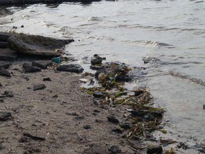 Masalah Utama Pariwisata di Indonesia: Sampah!