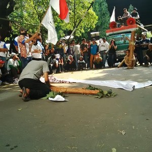 Ekosistem Bekantan di Kalimantan Terancam Punah Akibat Proyek Batu Bara