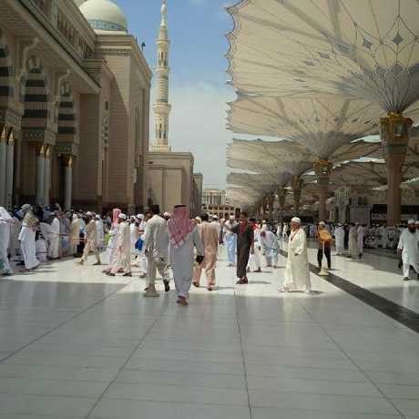 Kasus Jamaah Haji Tersesat di Masjid Nabawi Menurun Drastis