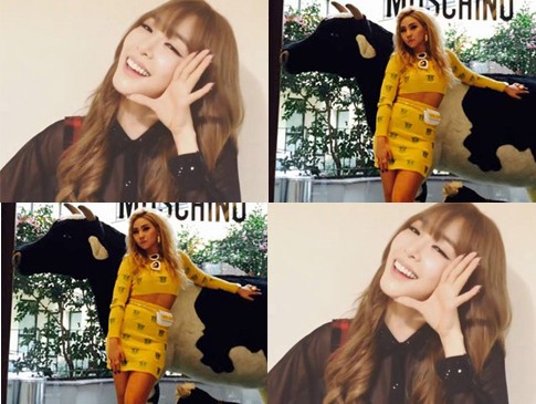 Tiffany SNSD Punya Instagram, CL 2NE1 Foto dengan Sapi