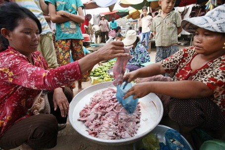 Berani Cicip Makanan Ekstrim Ini? Kadal Panggang, Tikus Bakar, dan Sup Darah Segar (1)
