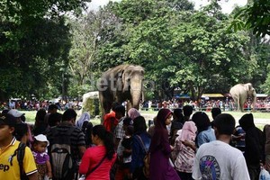 Ulang Tahun ke-150, Ragunan Dapat Kado Patung Raden Saleh dari Hashim