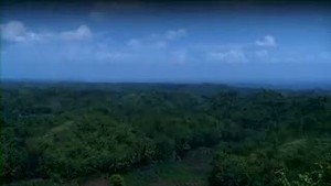 Menengok Turbin Sungai Bawah Air Pertama di Dunia