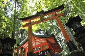 Unik! Ada Kuil dengan 10.000 Gerbang di Kyoto