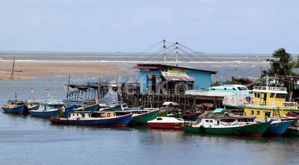 Ini Modus Perusahaan Thailand Ambil Ikan di Laut Indonesia