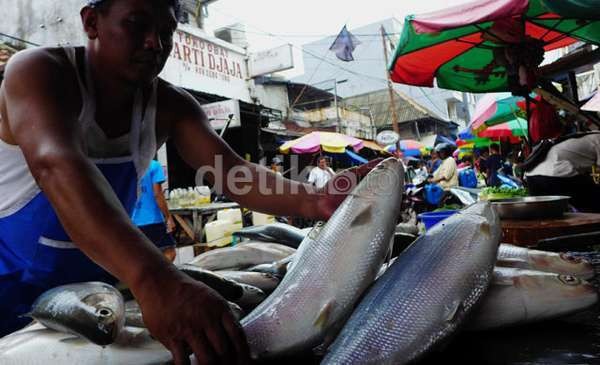Puluhan Tahun Perusahaan Thailand Mencuri Ikan di Laut Indonesia