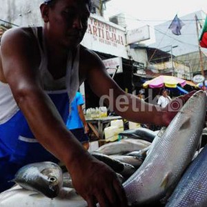 Puluhan Tahun Perusahaan Thailand Mencuri Ikan di Laut Indonesia