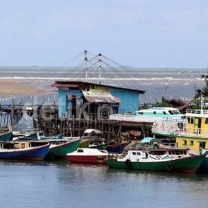 Perusahaan Thailand Curi Ikan Tuna dan Kembung RI, Lalu Diekspor