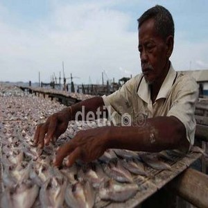 Eksportir Kaget dan Merasa Lucu RI Masih Impor Ikan Asin