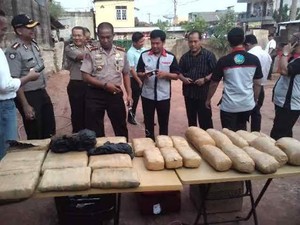 Polda Kepri Gagalkan Penyelundupan 39 Kg Ganja Lewat Jalur Laut