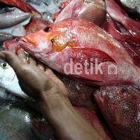 Indonesia Rutin Impor Ikan Asin, dari Jepang Hingga Inggris