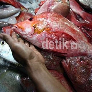 Indonesia Rutin Impor Ikan Asin Dari Jepang Hingga Inggris