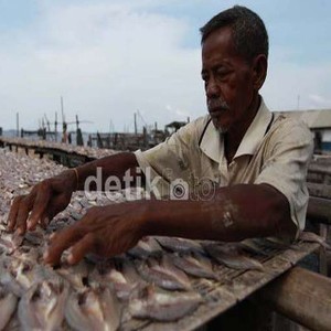 Impor Ikan Asin Tidak Besar, Tapi Harus Diwaspadai