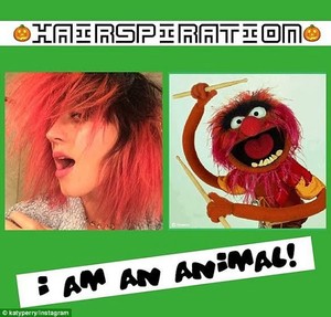 Ganti Warna Rambut Jadi Merah, Katy Perry Mirip Karakter The Muppets