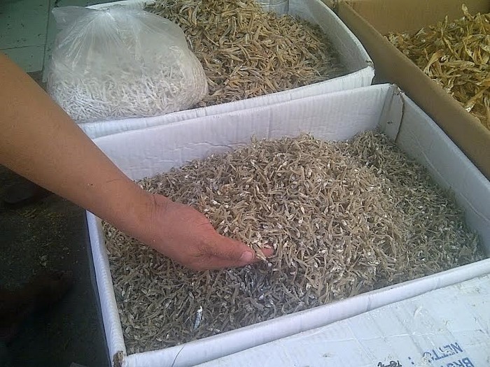 Dalam Sehari, Pedagang Bisa Jual 100 Kg Teri Thailand