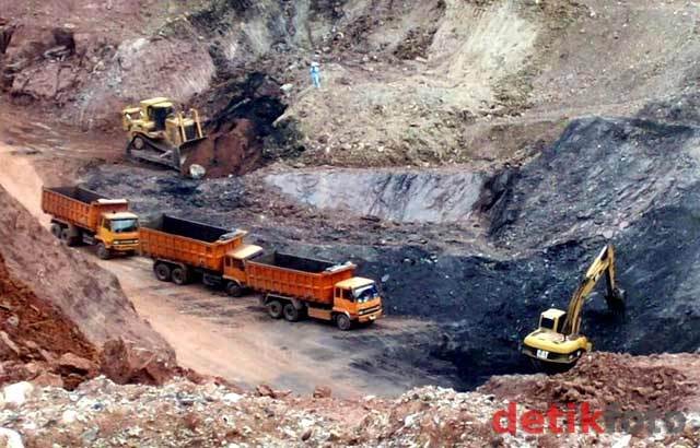 Perusahaan Batu Bara Rugi Rp 376 Ribu, Mengapa Sopir Ini Dibui 110 Hari?