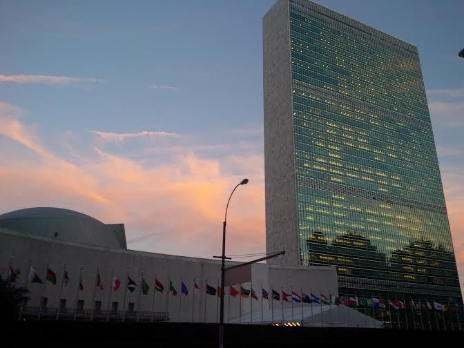 Pemerintah Awasi 4 Perusahaan Kelapa Sawit yang Berikrar Peduli Lingkungan