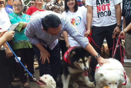 Hari Rabies Dunia, Pemilik Hewan Jalan Sehat Bersama