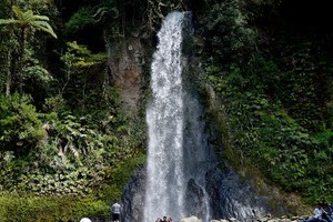 Siapa Sangka, Ada Curug Secantik Ini di Gede Pangrango