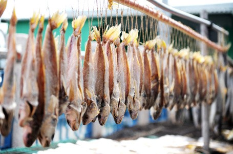 Ikan Manyung dan Ikan Layang, Jenis Ikan Laut Populer untuk Ikan Asin (2)