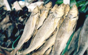 Ikan Manyung dan Ikan Layang, Jenis Ikan Laut Populer untuk Ikan Asin (2)