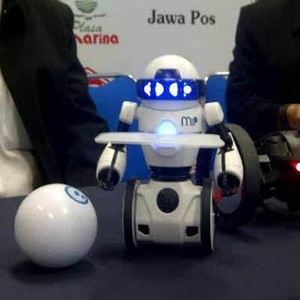 Gemas! Robot Sumo yang Dikontrol via Ponsel