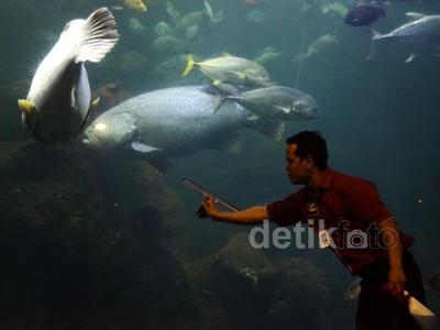 Meski Ditutup, Karyawan Seaworld Tetap Bekerja