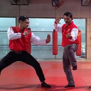 Misi Membawa Pencak Silat ke Olimpiade dan UNESCO
