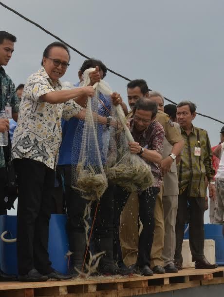 Cicip Tak Rela Kementerian Kelautan dan Perikanan Dihapus Jokowi
