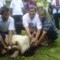 Gubernur Jabar Kurban 3 Sapi dan 9 Kambing