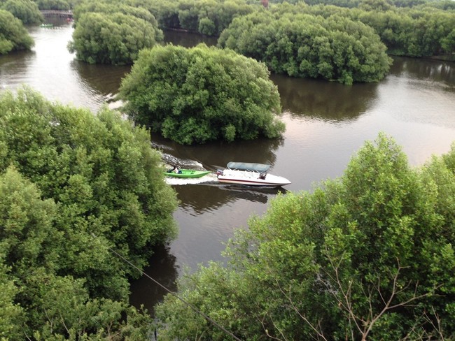 Amazon? Bukan, Ini Hutan Bakau di Utara Jakarta