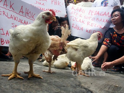 Pedagang Ayam Tolak Direlokasi